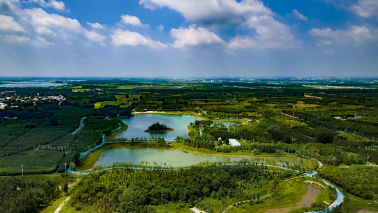 আগে সবুজ, পরে শহর