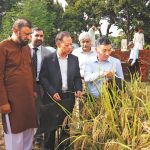 সমৃদ্ধির স্বপ্ন দেখাচ্ছে চীন-পাকিস্তানের যৌথ গবেষণার ধান