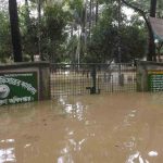 flood বন্যা বাংলাদেশ