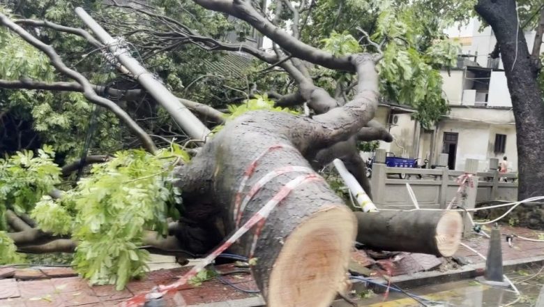 বছরের ১২তম টাইফুনের কবলে চীন: ৩০০ আশ্রয়কেন্দ্র খোলা