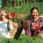 উন্নয়নের চীনা মানদণ্ড