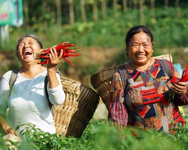 উন্নয়নের চীনা মানদণ্ড