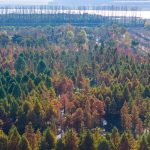 China marks 35th anniversary of Environmental Protection Law on Dec. 26