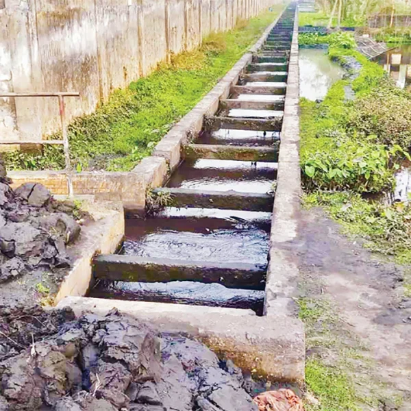 বড়পুকুরিয়া খনির বর্জ্য থেকে কয়লার গুঁড়া সংগ্রহ: পরিবেশ ঝুঁকির মুখে স্থানীয়দের জীবিকা