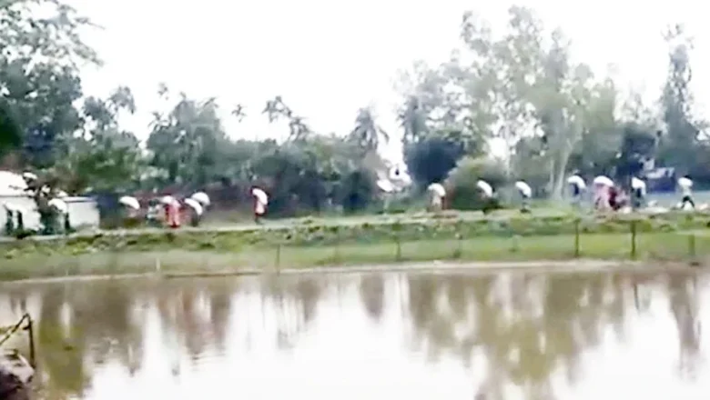 কুড়িগ্রামের ভূরুঙ্গামারীতে সার না পেয়ে ডিলারের গুদাম ভেঙে লুট, উদ্ধার অভিযান অব্যাহত