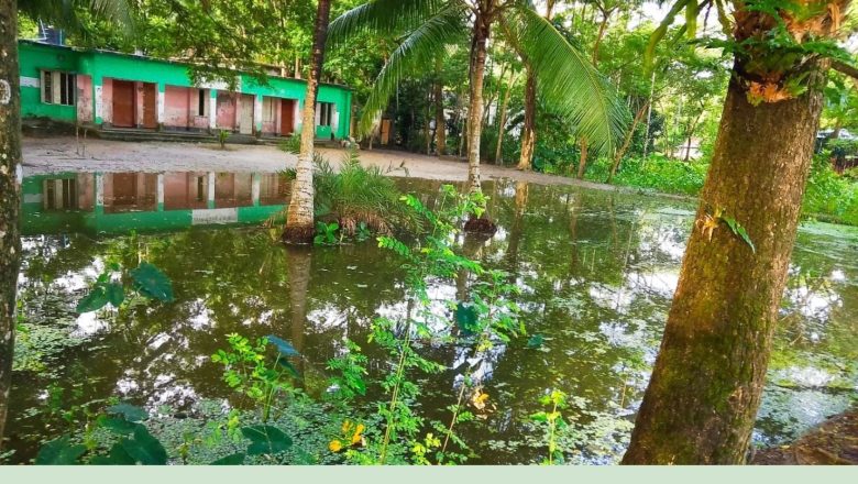 বর্ষায় জলাবদ্ধতায় ডুবছে বাবুগঞ্জের পশ্চিম রাজগুরু সরকারি প্রাথমিক বিদ্যালয়