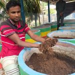 রংপুরের তারাগঞ্জে কেঁচো সার বদলে দিচ্ছে কৃষকদের ভাগ্য