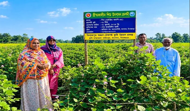 c চাষে কৃষক ময়েজ উদ্দিনের সাফল্য